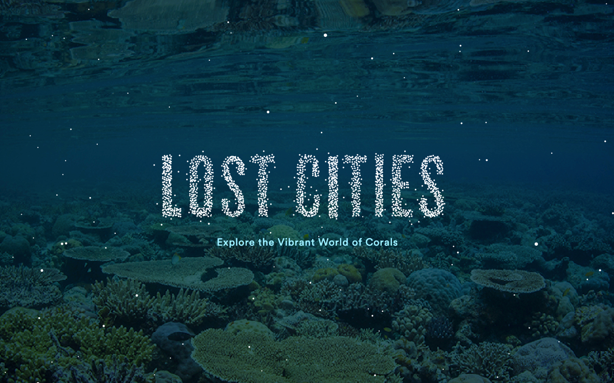 Lost Cities