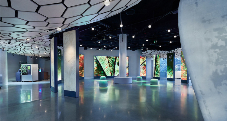 Understory project image