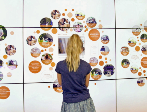 Annenberg PetSpace project image